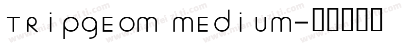 TRIPGEOM MEDIUM字体转换